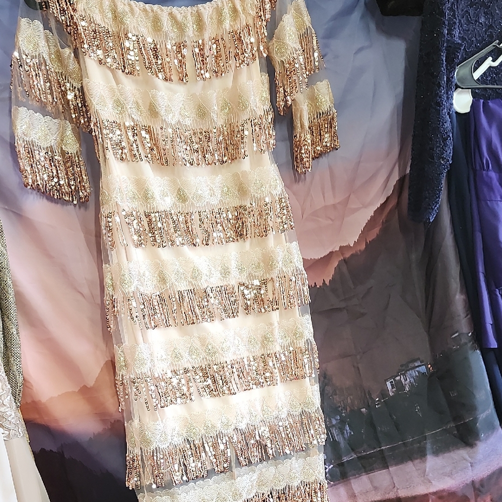 *Nwt Chartou Sequin Embellished Dress